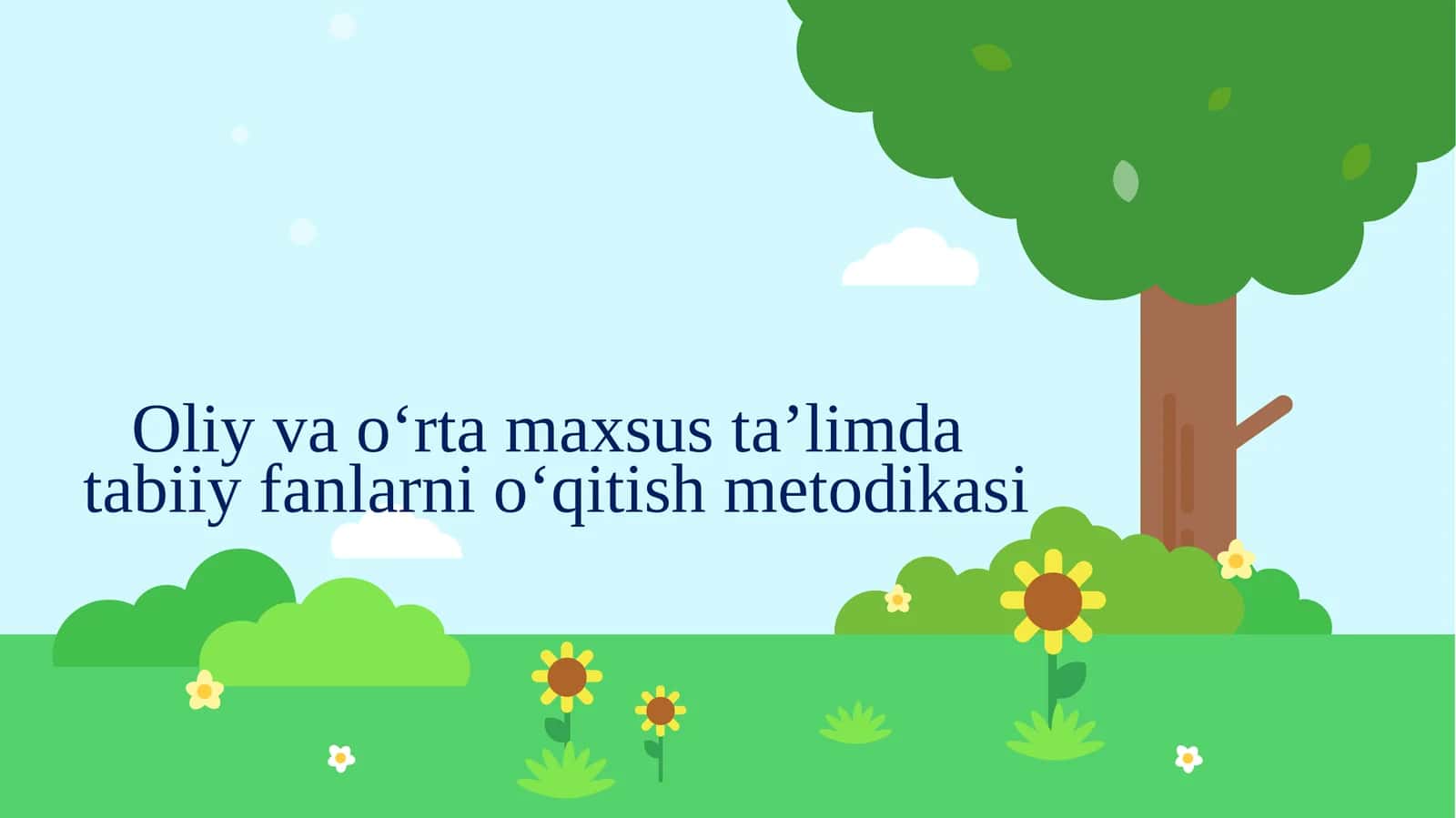Oliy va o‘rta maxsus ta’lim dastabiy fanlarni o‘qitish metodikasi