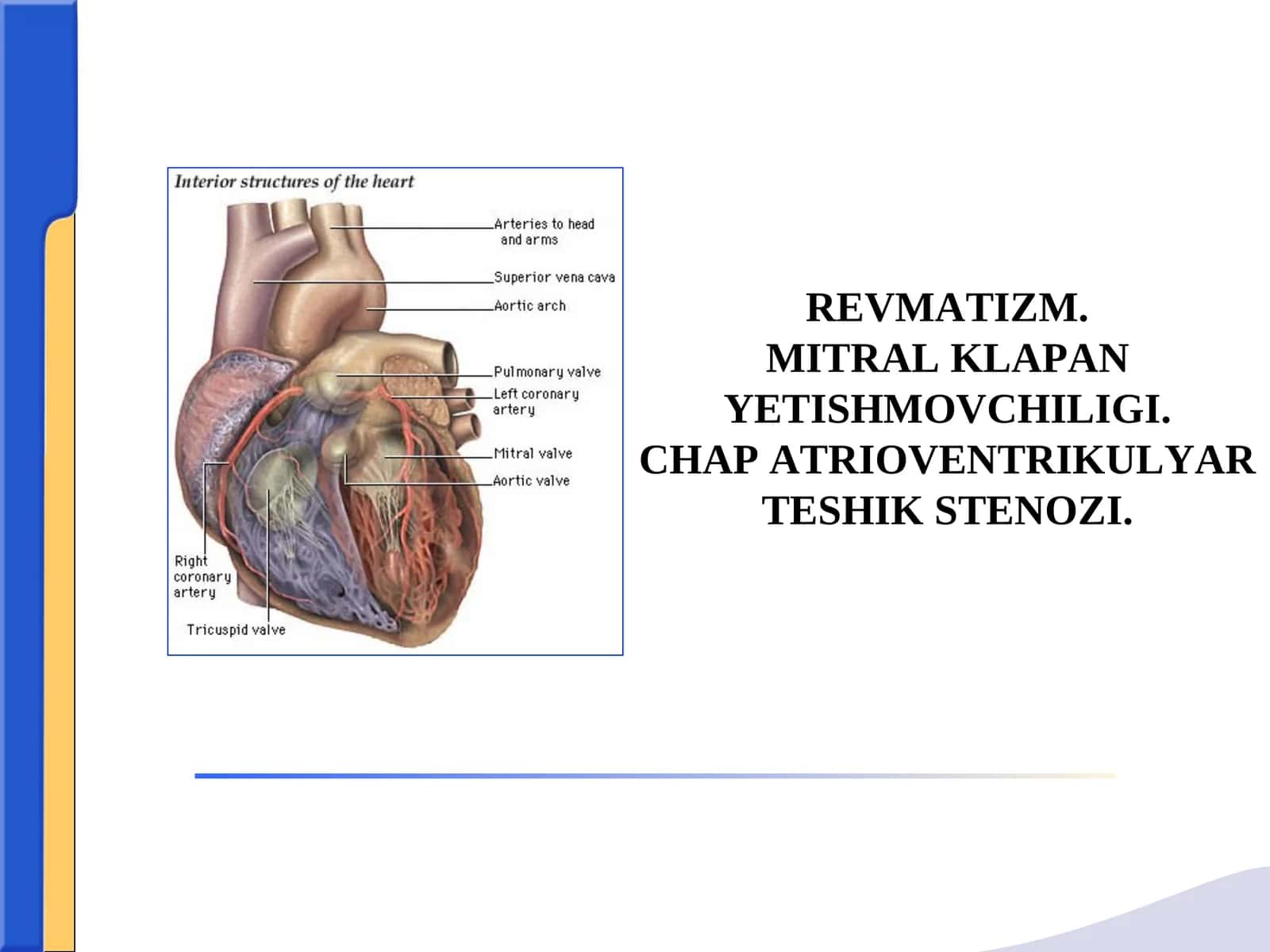 REVMATIZM.MITRAL KLAPAN YETISHMOVCHILIGI.CHAP ATRIOVENTRIKULYAR TESHIK STENOZІ