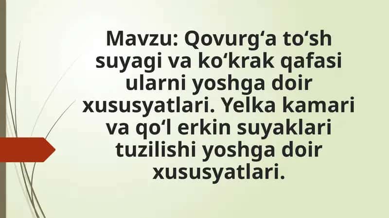 Qovurgʻa toʻsh suyagi va koʻkrak qafasi ularni yoshga doir xususyatlari. Yelka kamari va qoʻl erkin suyaklari tuzilishi yoshga doir xususyatlari.Yelkakamarivaqoʻlerkinsuyaklarituzilishiyoshgadoirxususyatlari