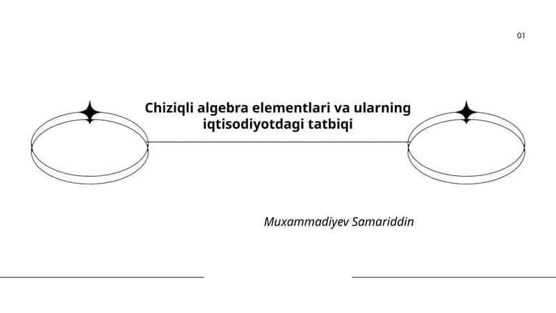 Chiziqli algebra elementlari va ularning iqtisodiyotdagi tatbiqi
