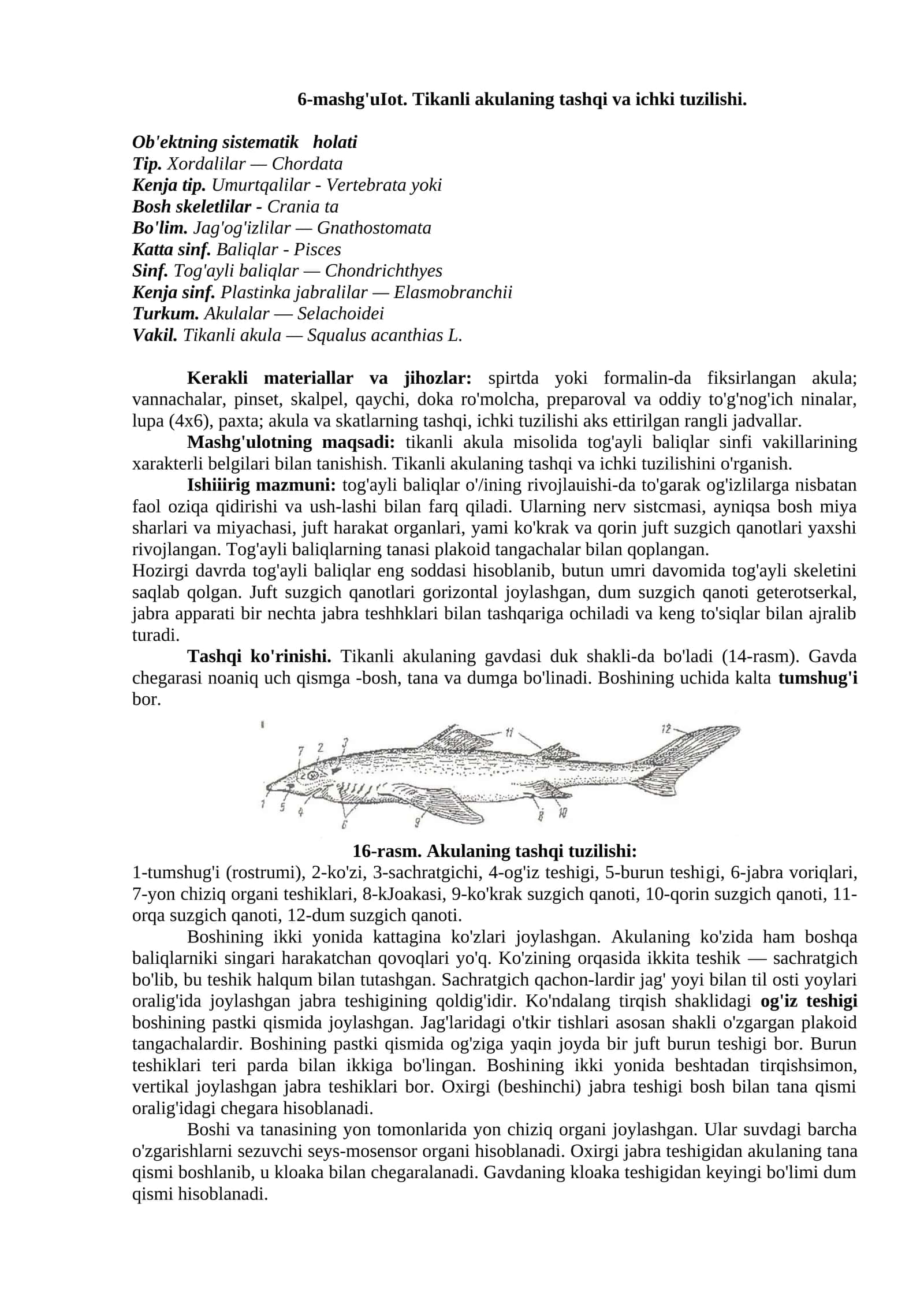 Tikanli Akulaning Tashqi va Ichki Tuzilishi
