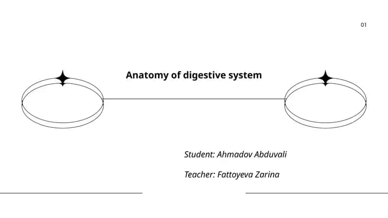 Anatomy of digestive system