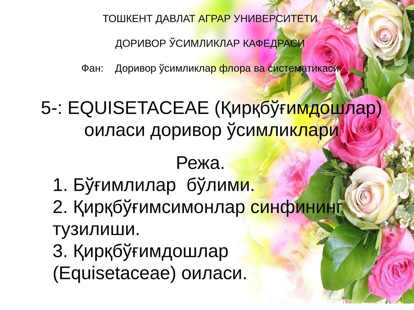 EQUISETACEAE (Қирқбўғимдошлар) оиласи доривор ўсимликлари