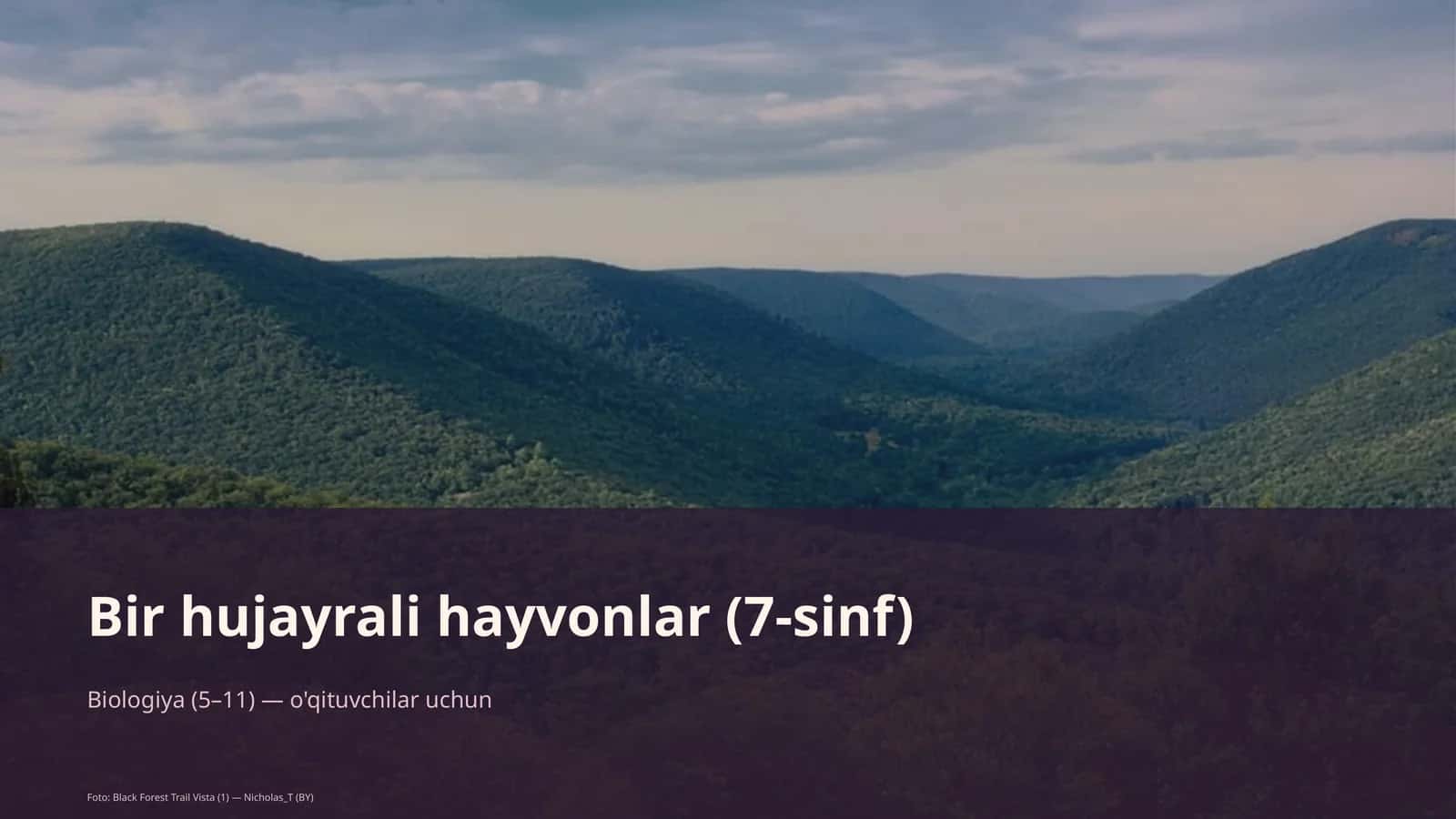 Bir hujayrali hayvonlar (7-sinf)