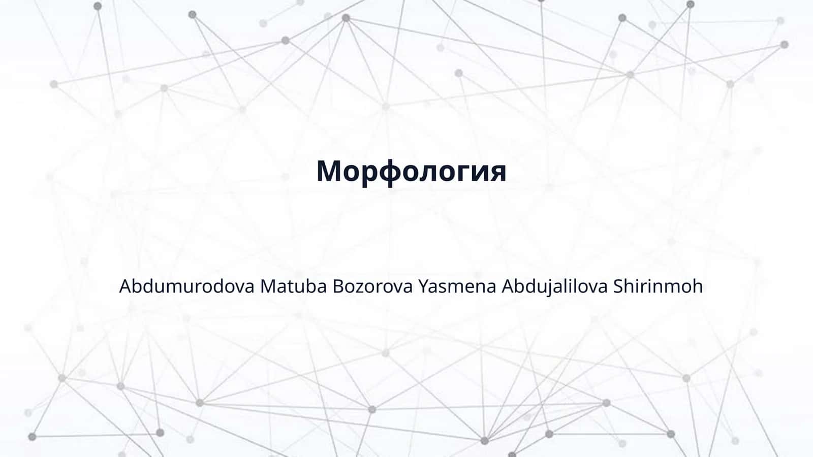 Морфология