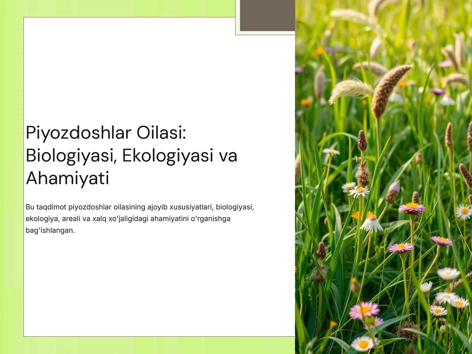Piyozdoshlar Oilasi: Biologiyasi, Ekologiyasi va Ahamiyati