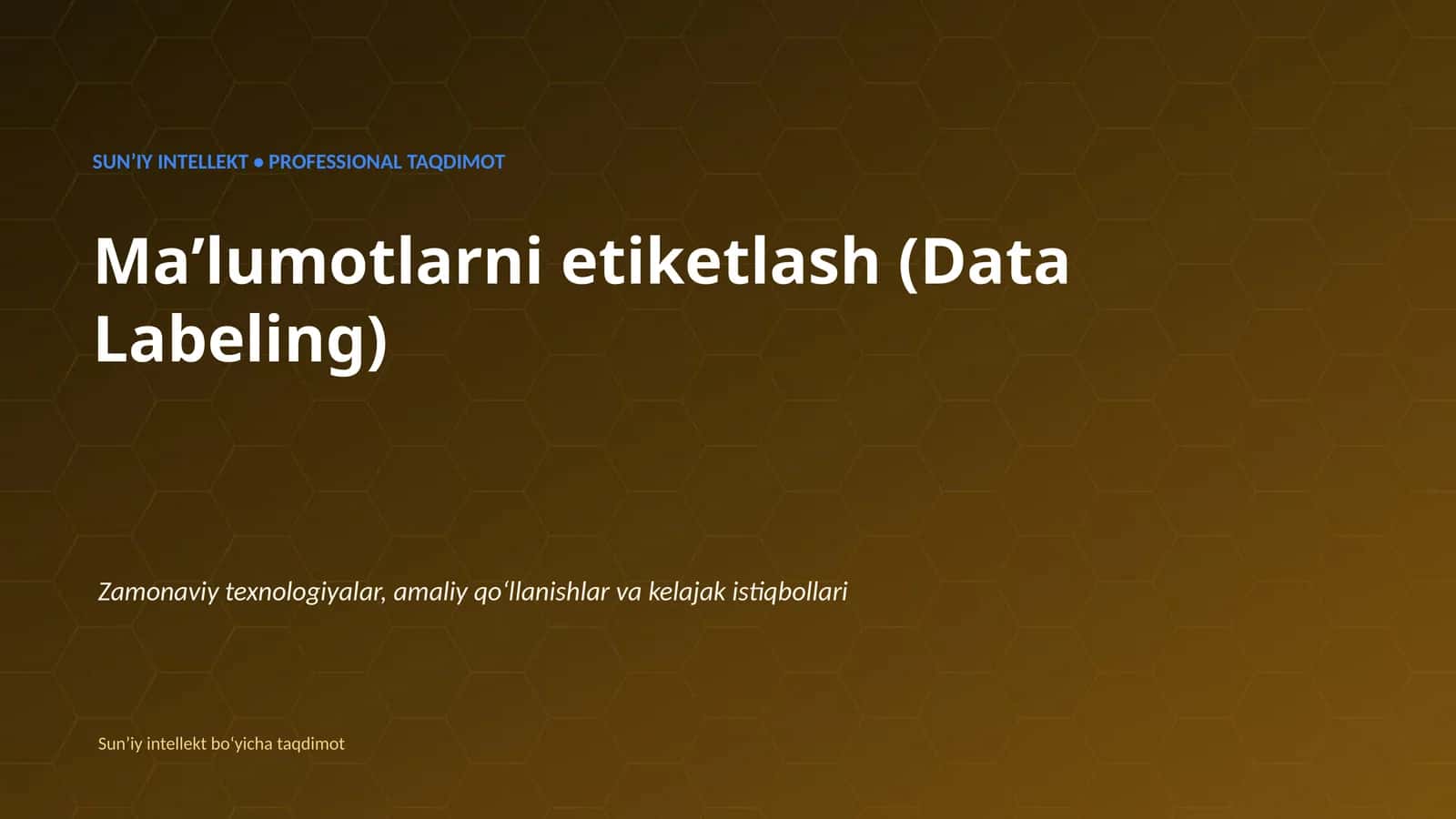 SUNʼIY INTELLEKT • PROFESSIONAL TAQDIMOT