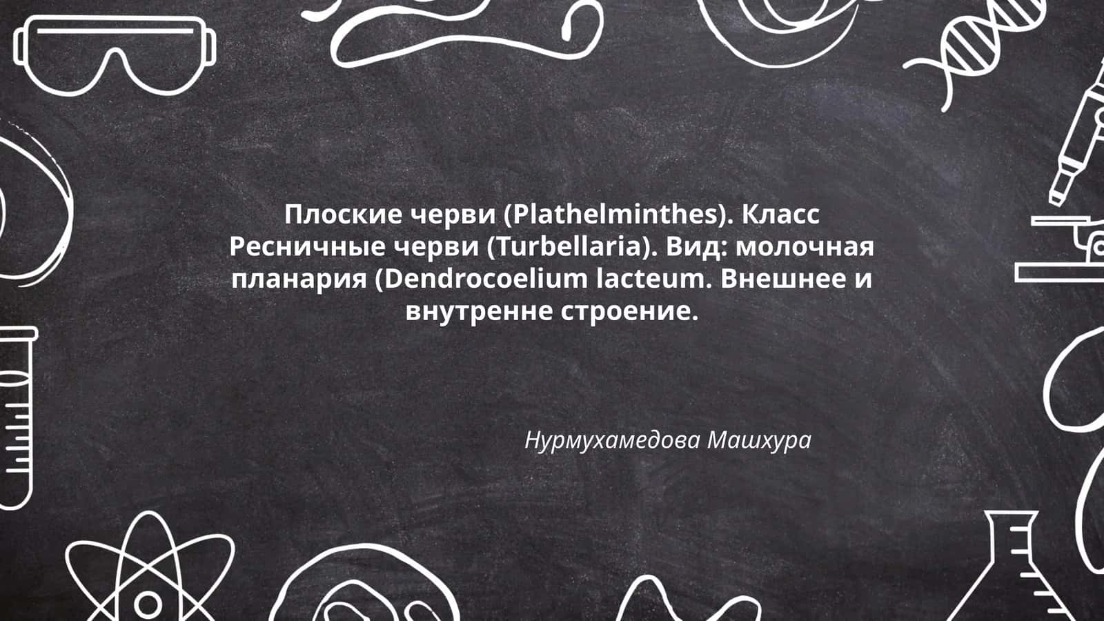 Молочная планария (Dendrocoelium lacteum)