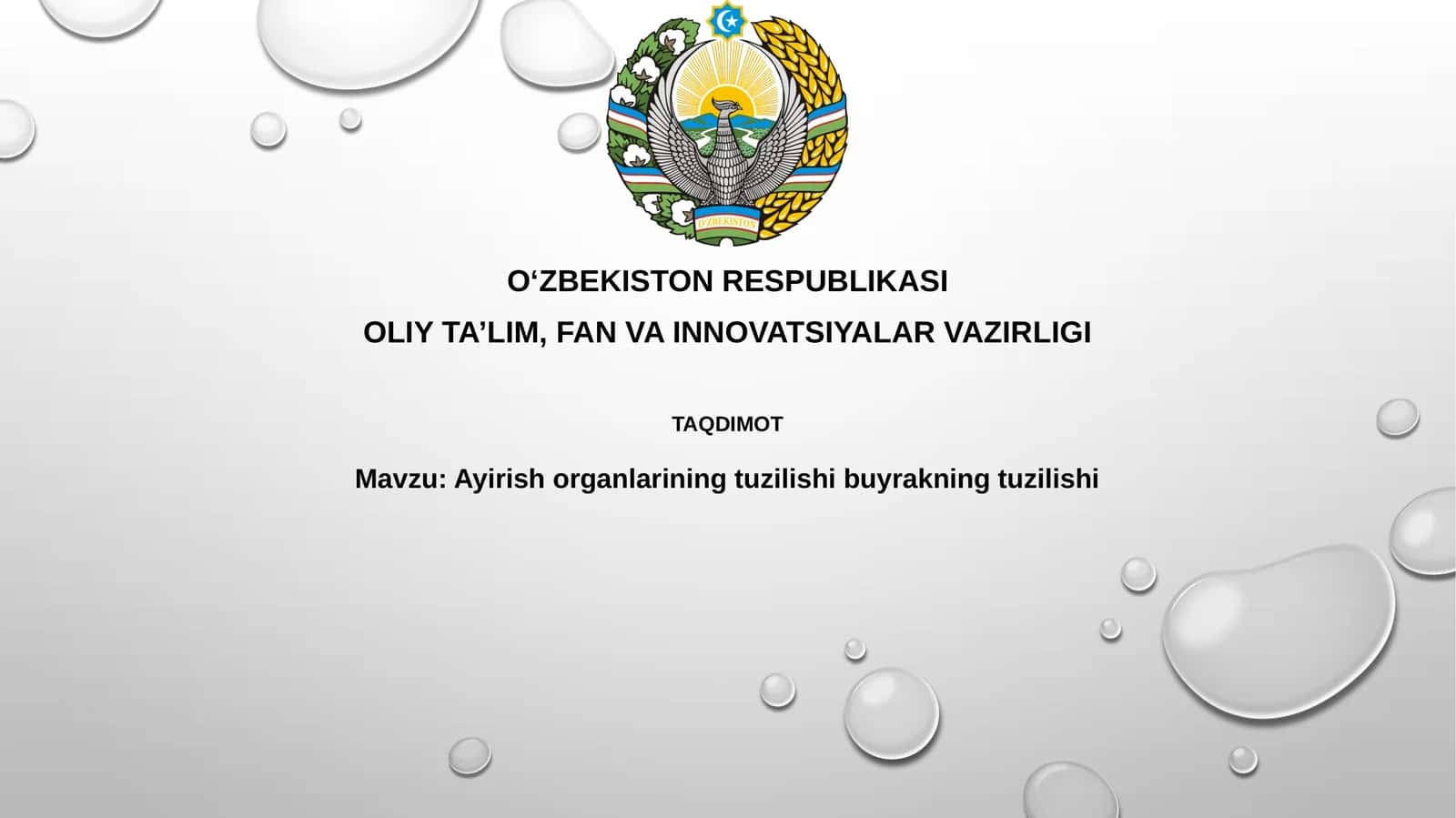 Ayirish organlarining tuzilishi buyrakning tuzilishi