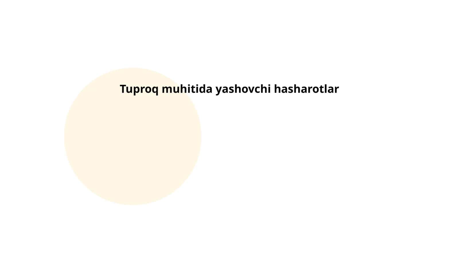 Tuproq muhitida yashovchi hasharotlar
