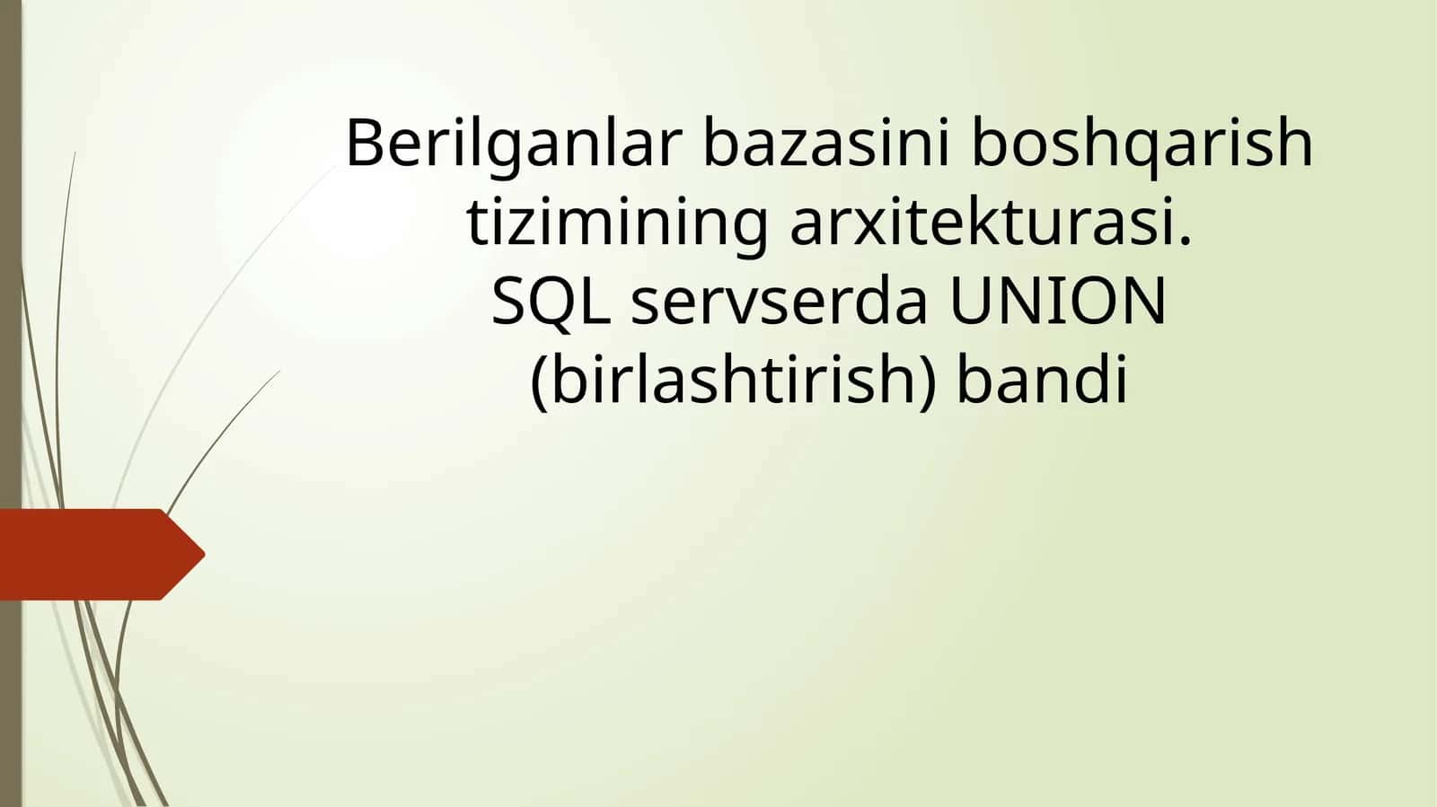 Berilganlar bazasini boshqarish tizimining arxitekturasi. SQL serverda UNION (birlashtirish) bandi