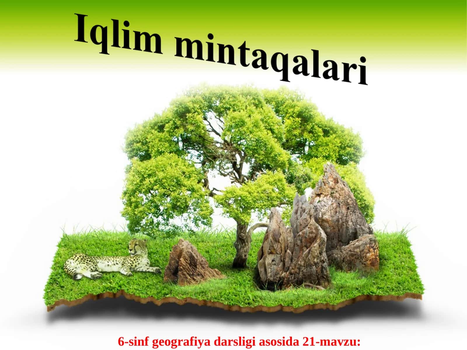 Afrikada iqlim mintaqalari