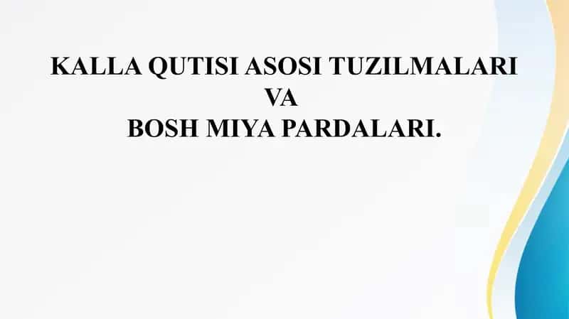 KALLA QUTISI ASOSI TUZILMALARI VA BOSH MIYA PARDALARI. Бош мия пардалари