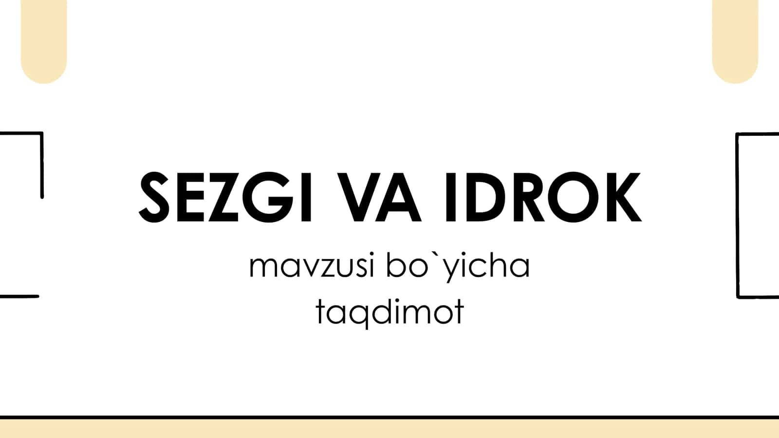 Sezgi VA IDROK
