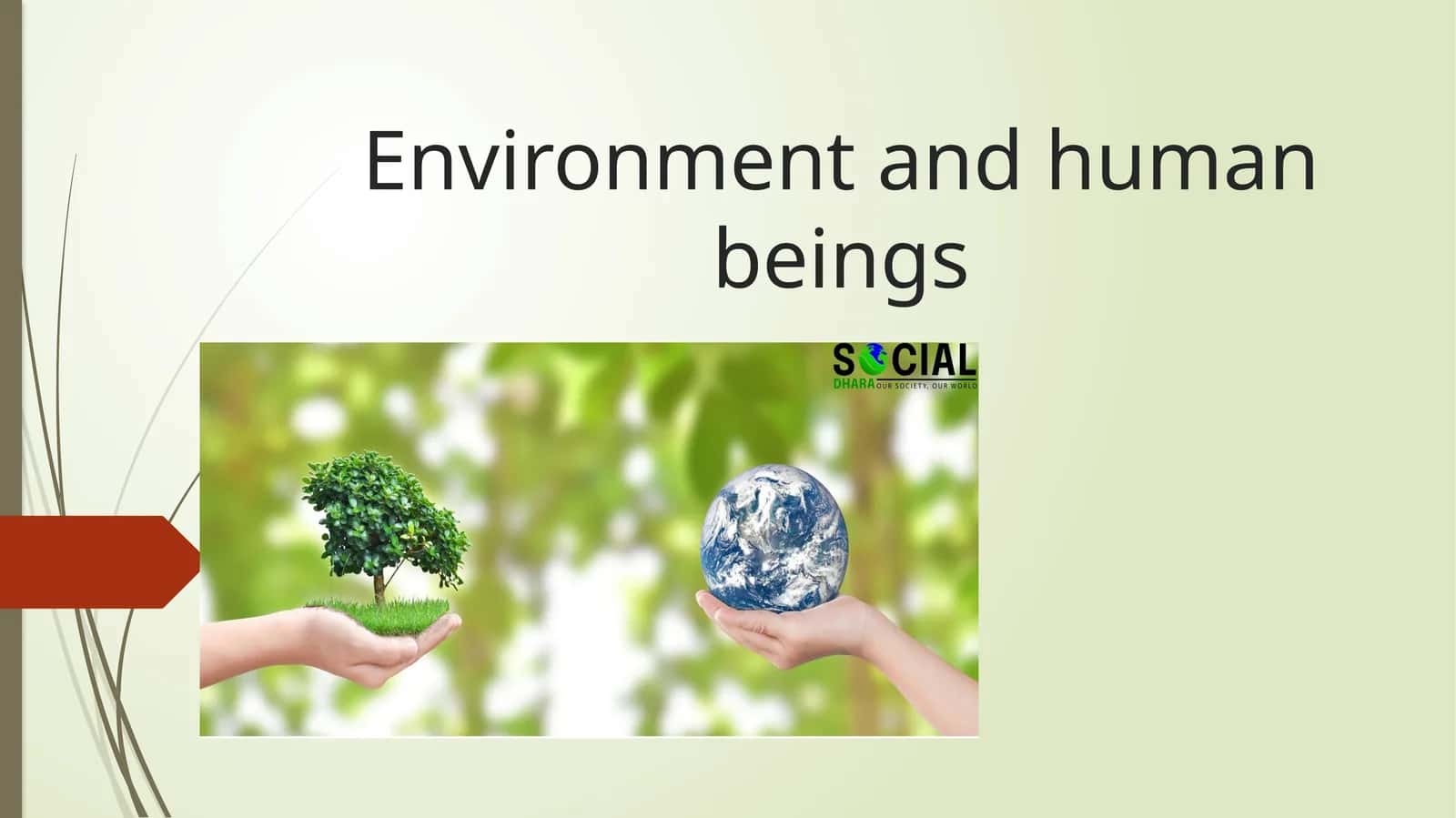 Environment and human beings