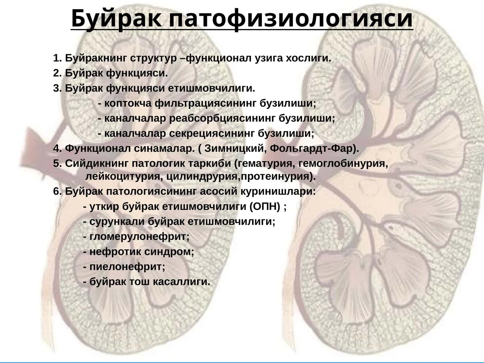 Буйрак патофизиологияси