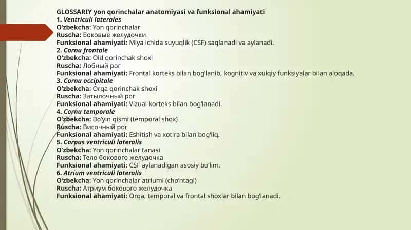 GLOSSARIY yonqorincha anatomiyasi va funksional ahamiyati