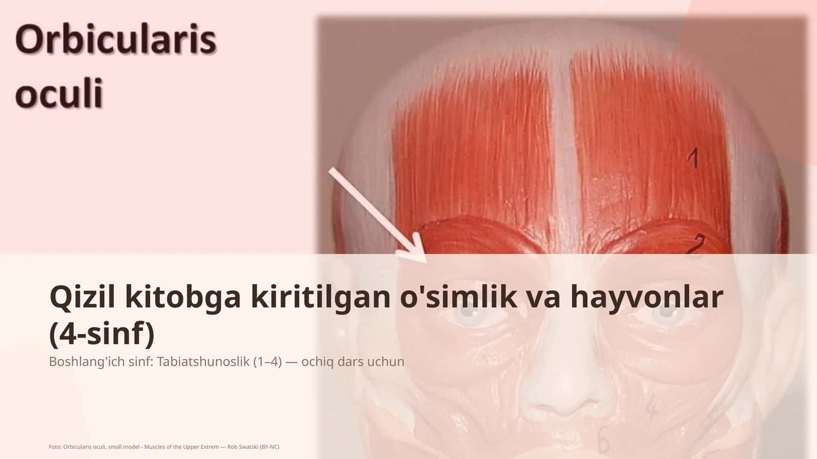 Tabiatshunoslik (1– 4)