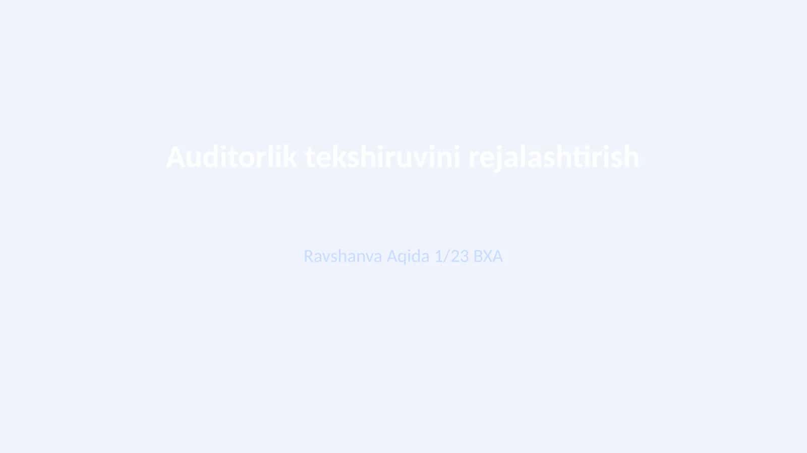Auditorlik tekshiruvini rejalashtirish