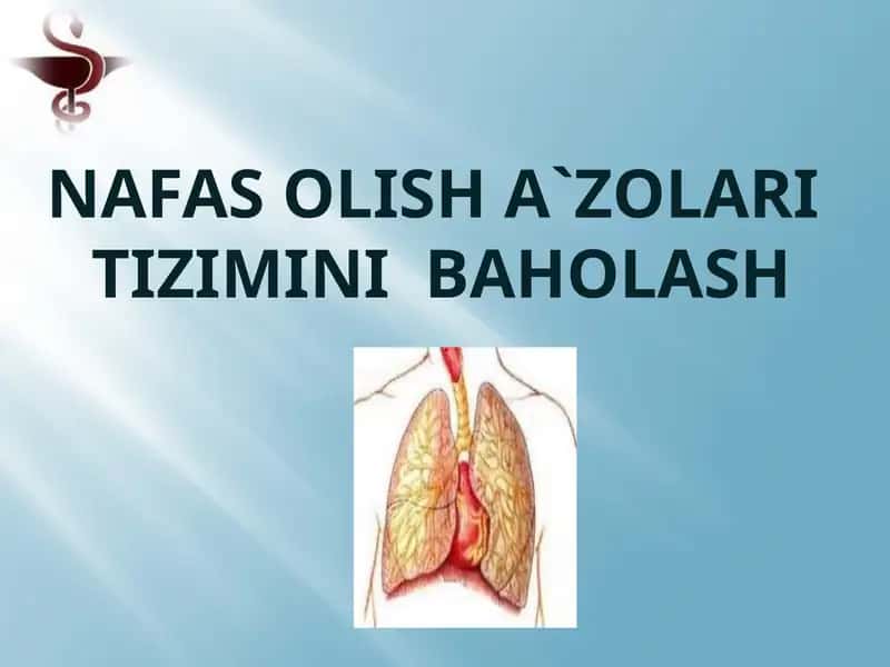 Nafas OLISH A`ZOLARI tizimiNI baholash