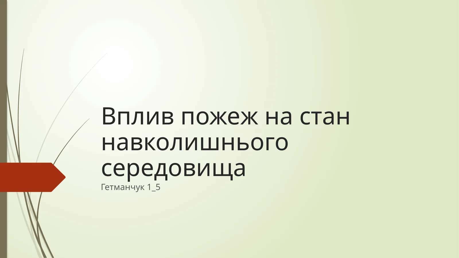 Вплив пожеж на стан навколишнього середовища
