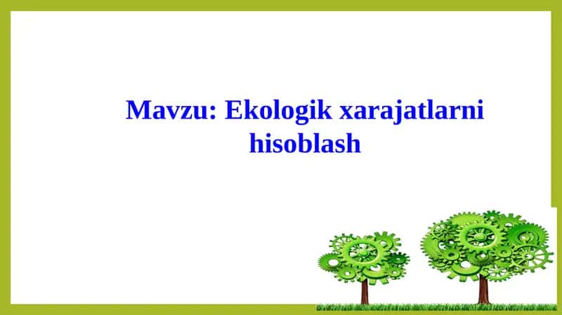 Ekologik xarajatlar
