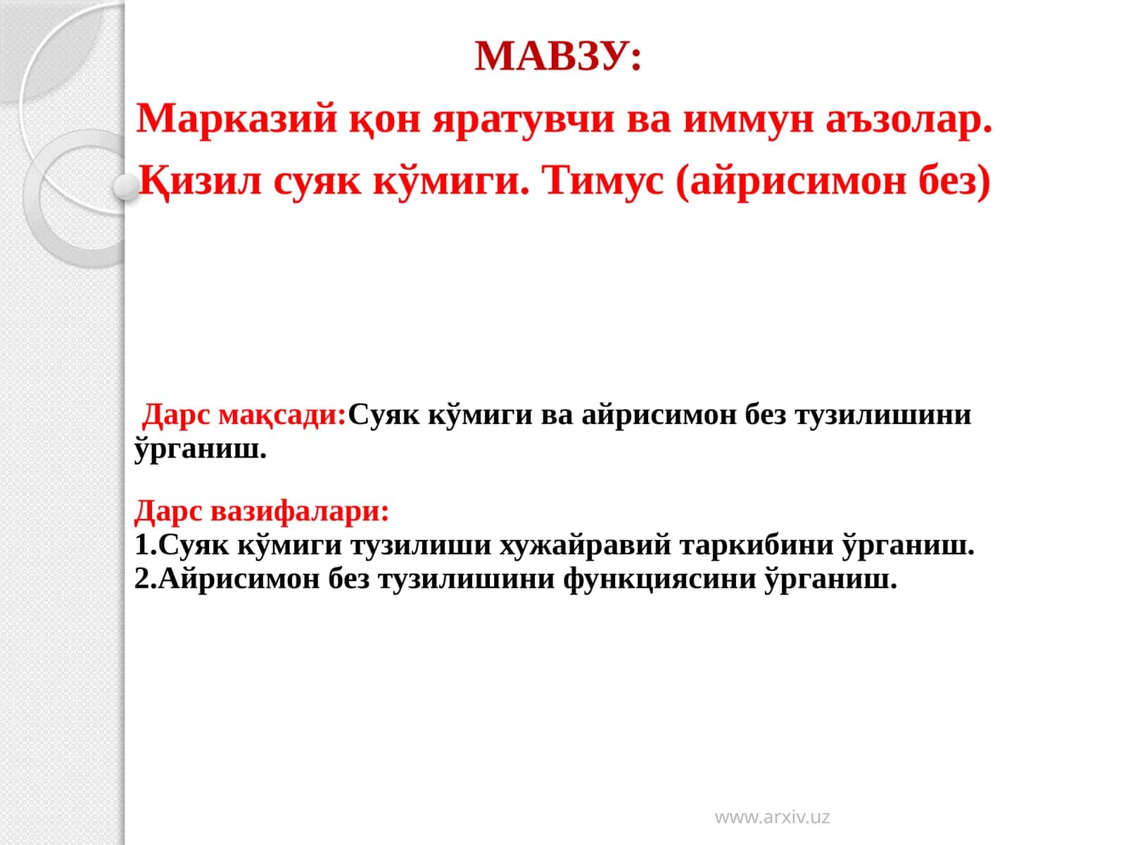 Кизил суяккўмиги. Тимус (айрисимонбез)