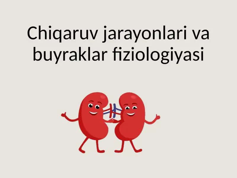 Chiqaruv jarayonlari va buyraklar fiziologiyasi