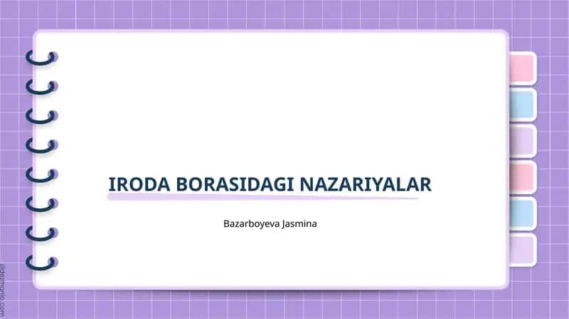 Iroda borasidagi nazariyalar