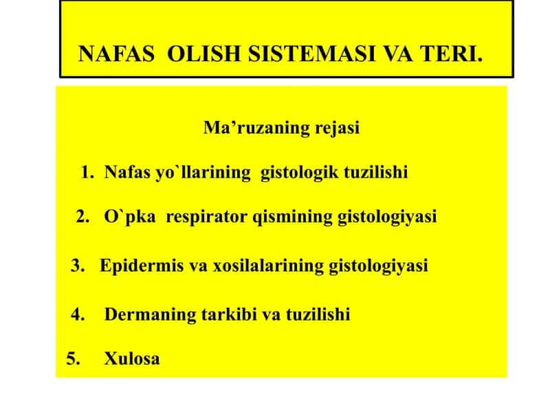 NAFAS OLISH SISTEMASI VA ТERI.