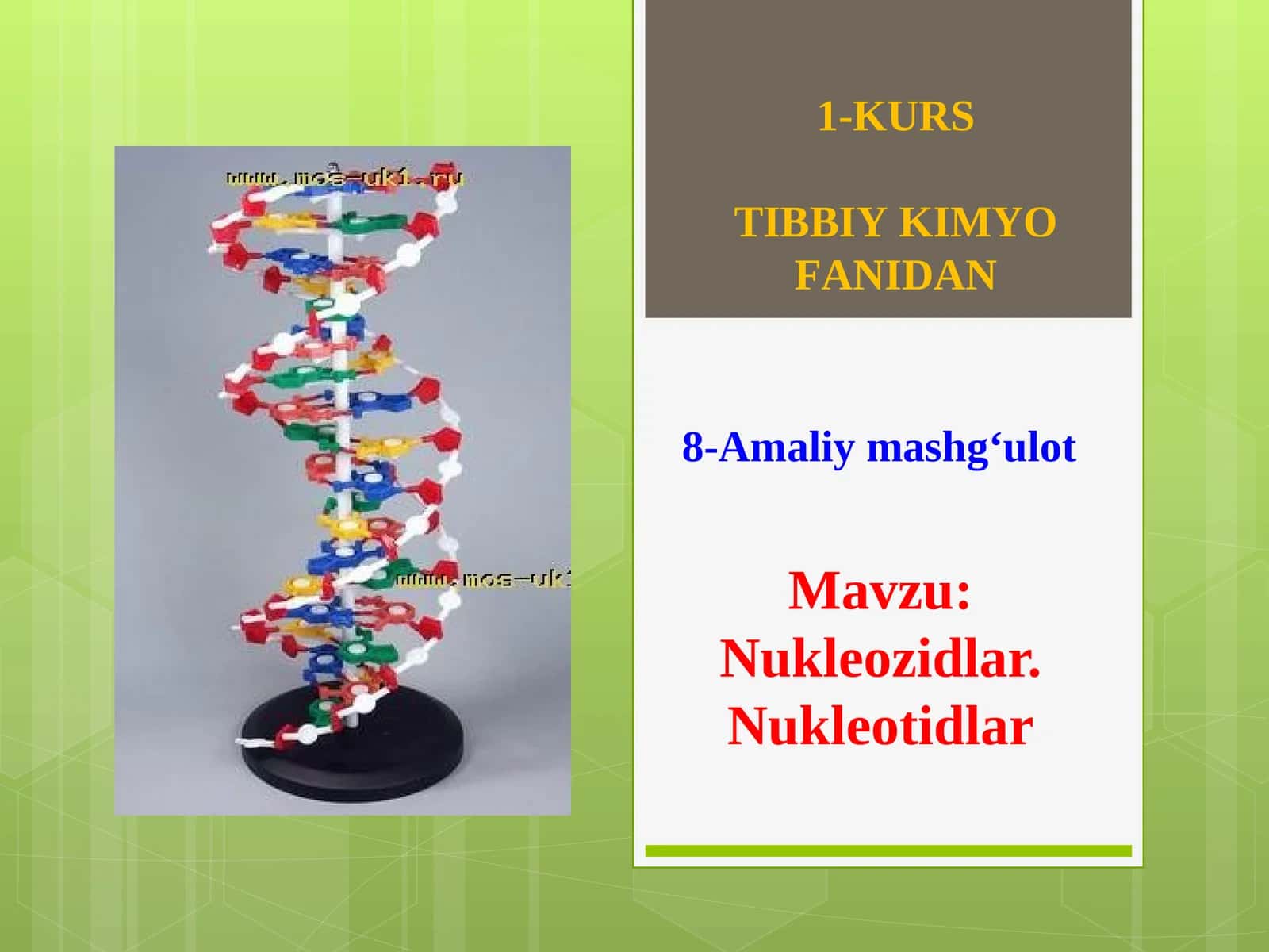 Nukleozidlar. Nukleotidlar