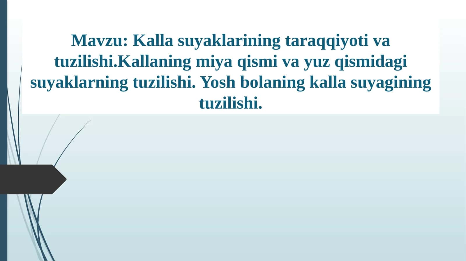 Kallasuyaklarining taraqqiyoti va tuzilishi