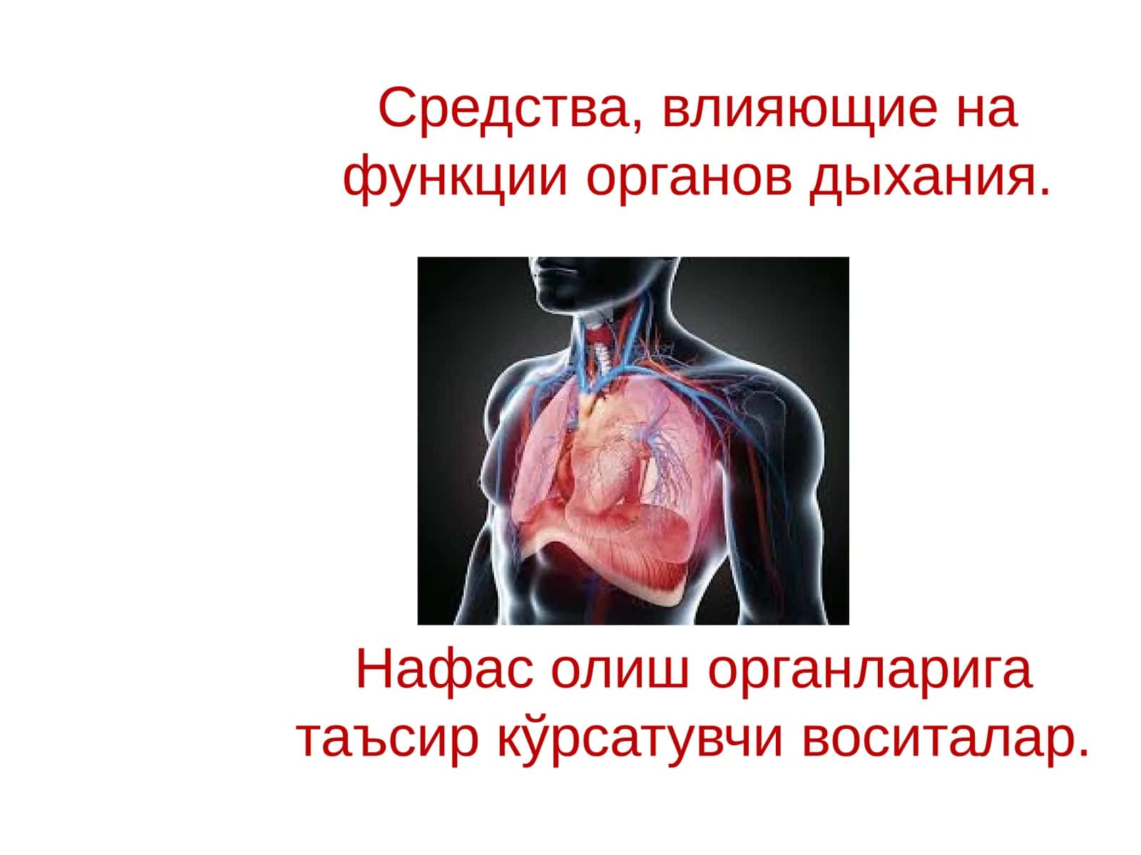Средства, влияющие на функции органов дыхания