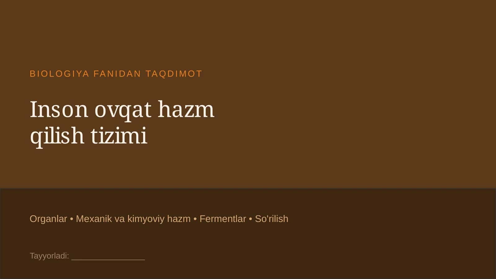 Insonning ovqat hazm qilish tizimi