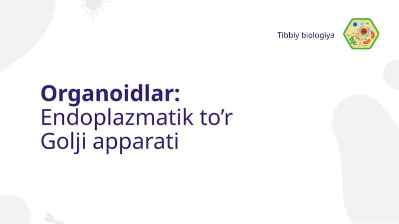 Endoplazmatik to’r Golji apparati