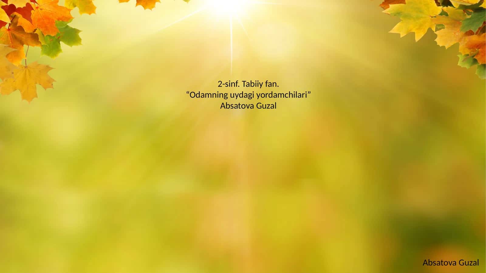 Odamning uydagi yordamchilari