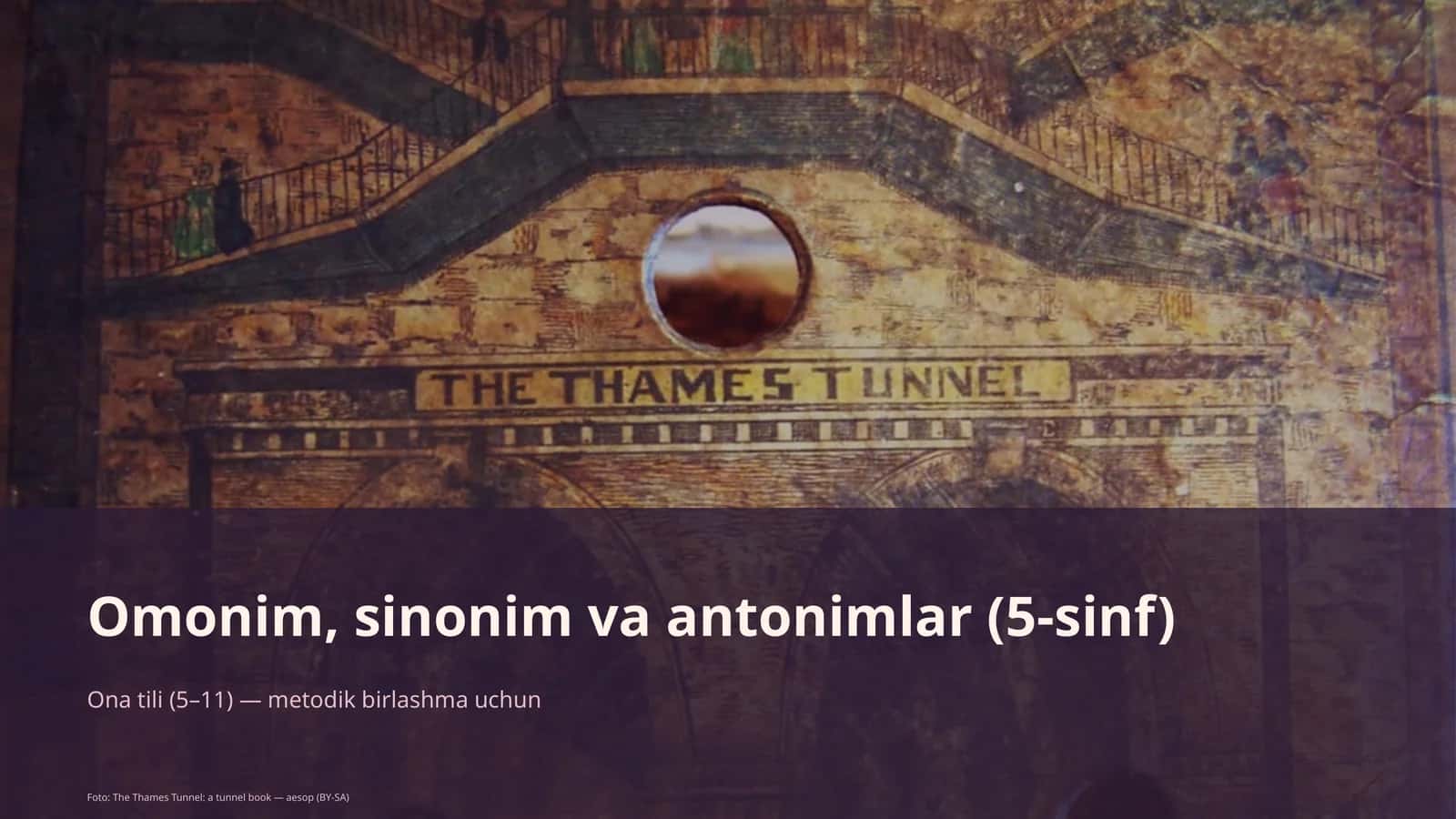 Omonim, sinonim va antonimlar (5-sinf)