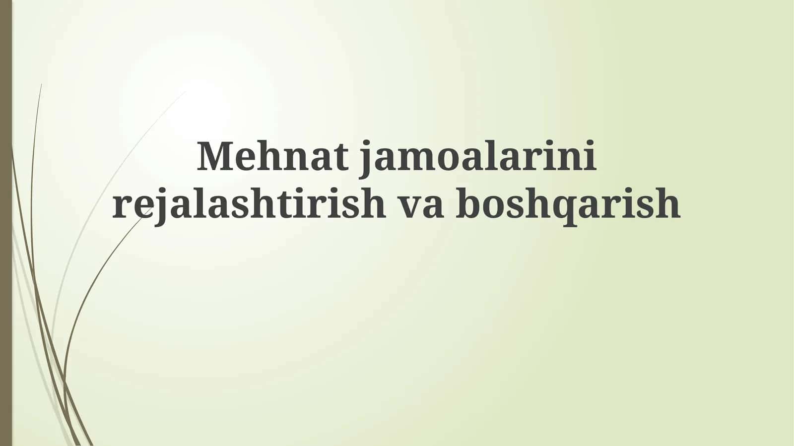 Mehnatjamoalarinirejalashtirishvaboshqarish