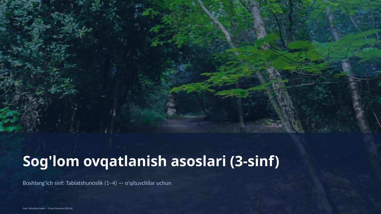 Sog'lom ovqatlanish asoslari (3-sinf)