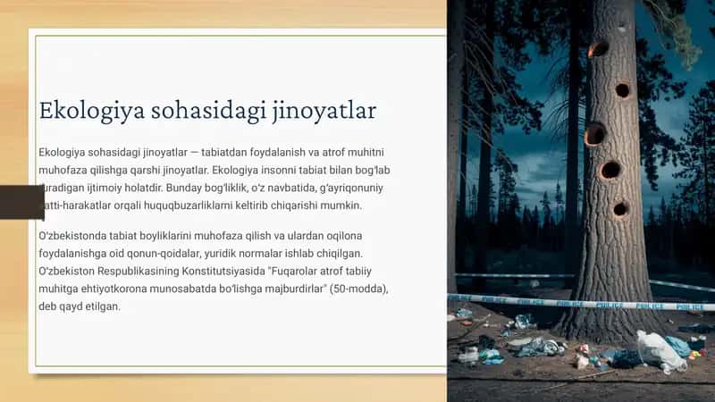 Ekologiya sohasidagi jinoyatlar