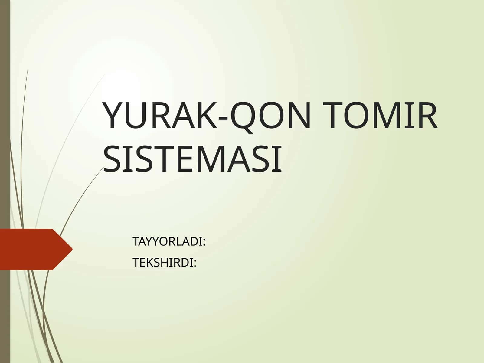 YURAK-QON TOMIR SISTEMASI