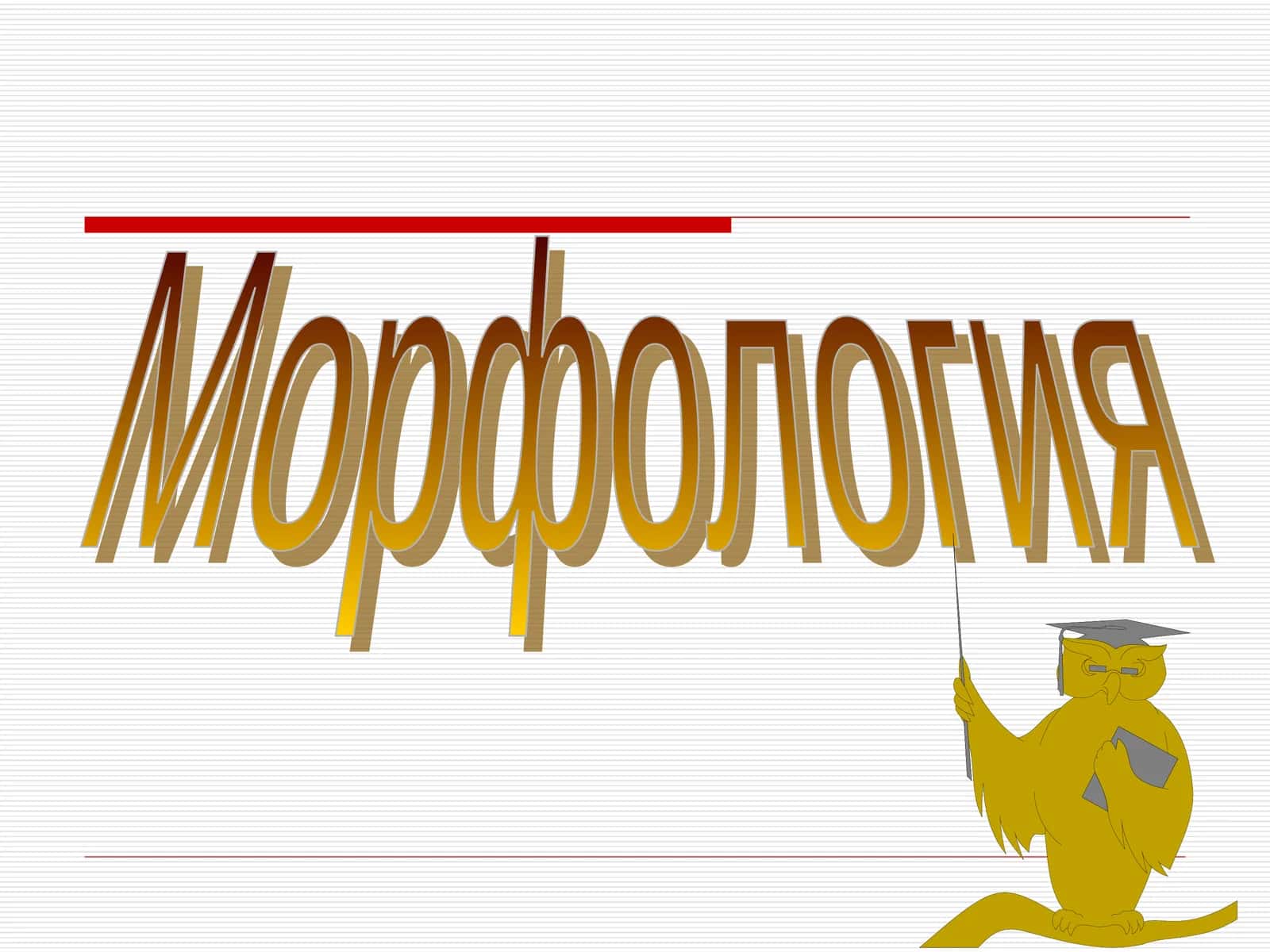 Морфология