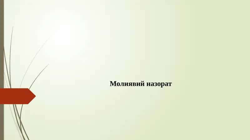 Moliyaviy nazorat
