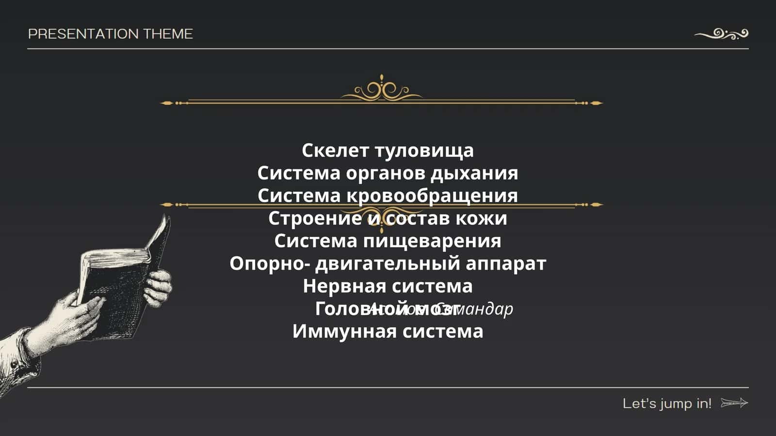 Скелет туловища