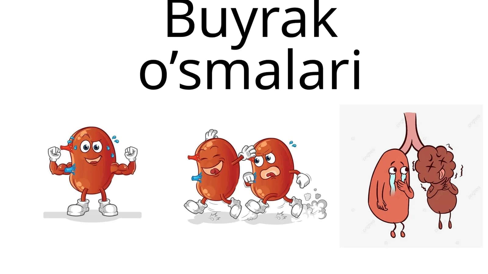 Buyrak o’smalari