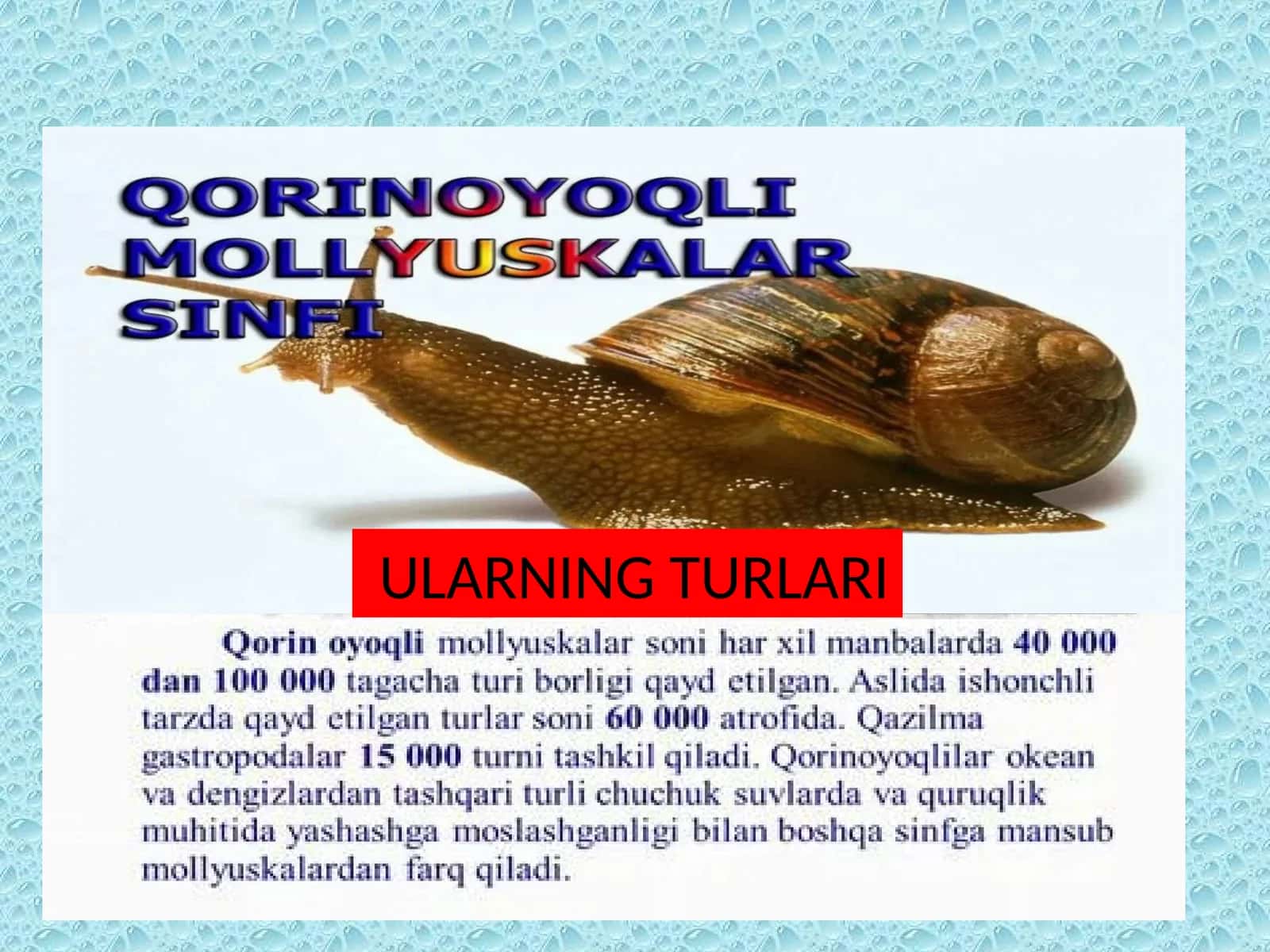 Ular Turlari