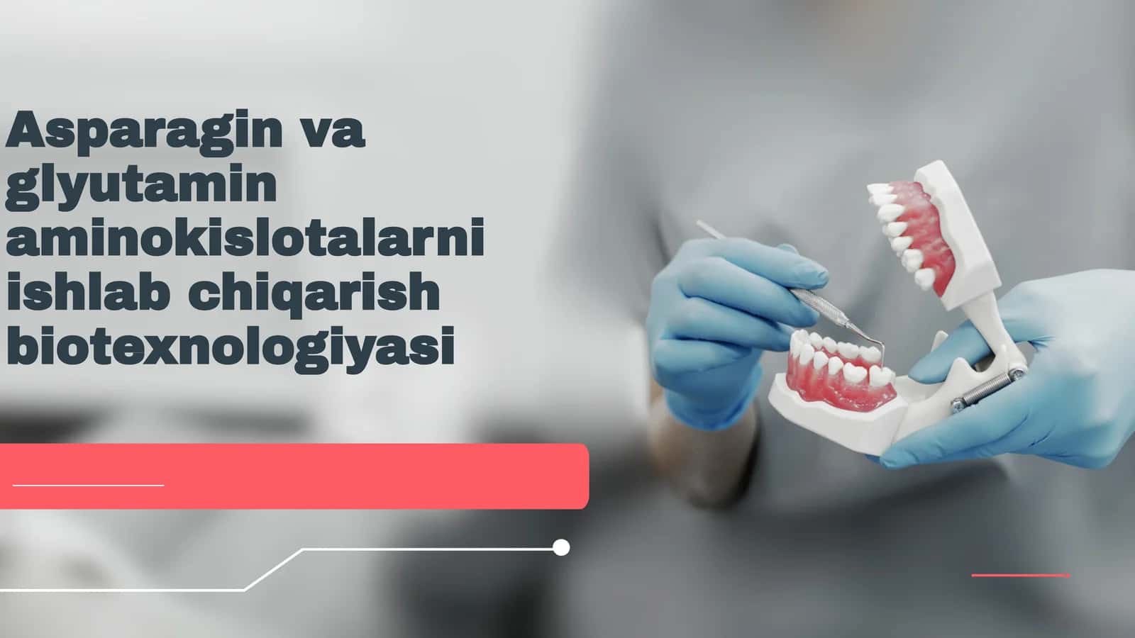 Asparagin va glyutamin aminokislotalar biotexnologiyasi