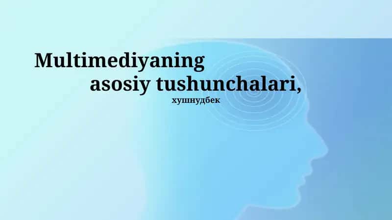 Multimediya