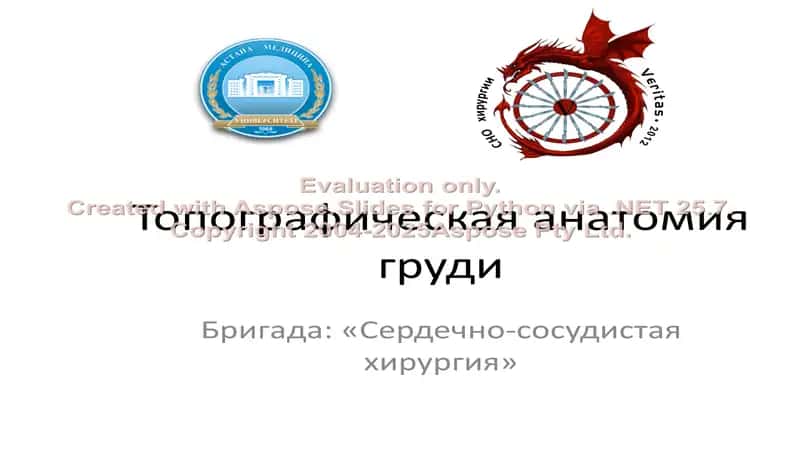 Топографическая анатомия груди
