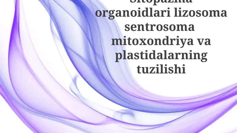Sitoplazmatik organellalar: Lizosomalar va sentrosomalar